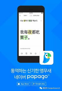 韩国翻译服务Papago正式上线 单次能译5000字