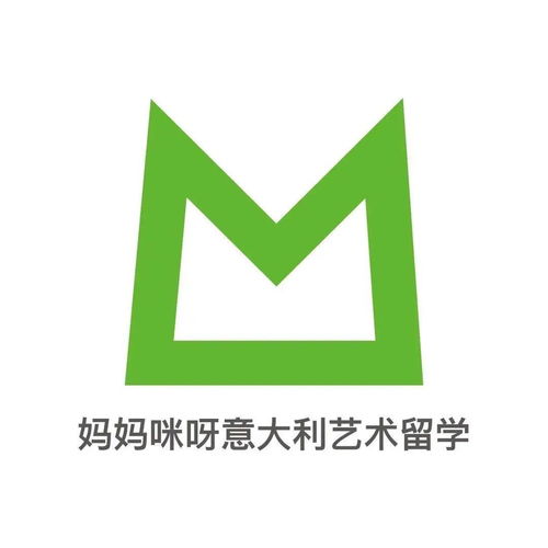 m翻译版 都灵理工大学2020国际生 2021计划生招生人数出炉,他来了