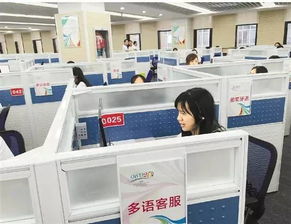 14个语种近300名翻译 g20峰会多语服务平台96020将上线
