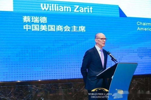 消灭 神翻译 史家教育集团服务学习项目系列报道